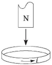 Option